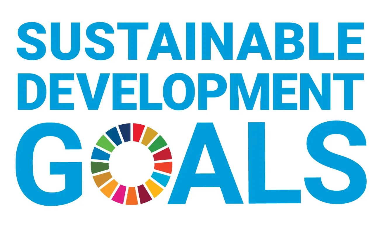 The UN Sustainable Development Goals